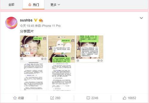 邵阳最新吃瓜爆料新闻报道,揭秘当地热点事件背后的真相  第2张