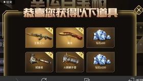 cfm百宝箱最新爆料,揭秘游戏新内容与神秘活动  第3张