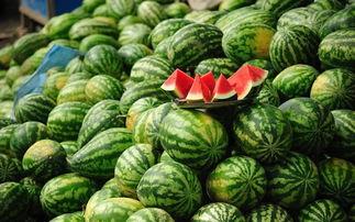 农村吃土瓜视频下载免费,感受乡土风情  第3张 农村吃土瓜视频下载免费,感受乡土风情  第3张